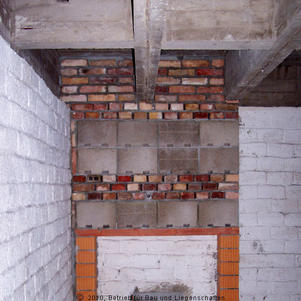 Blick in die  Schlafräume  der feuchtliebenden Fledermäuse © 2010 BBL M-V