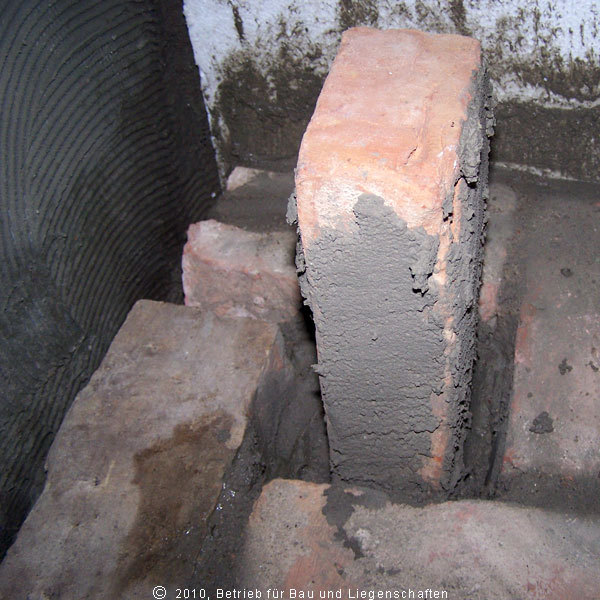 offene Fugen bieten einen guten Unterschlupf © 2010 BBL M-V