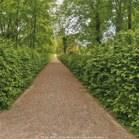 Blick in die Seufzerallee, die den barocken Gartenteil (links) von den Neuen Anlagen (rechts) trennt. Bei den Führungen am 21. Juni 2014 um 14 Uhr und einen Tag später um 11 Uhr ging es auch durch die Seufzerallee. © 2014 Betrieb für Bau und Liegenschaften Mecklenburg-Vorpommern