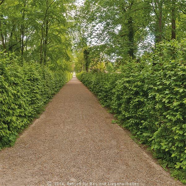 Blick in die Seufzerallee, die den barocken Gartenteil (links) von den Neuen Anlagen (rechts) trennt. Bei den Führungen am 21. Juni 2014 um 14 Uhr und einen Tag später um 11 Uhr ging es auch durch die Seufzerallee. © 2014 Betrieb für Bau und Liegenschaften Mecklenburg-Vorpommern