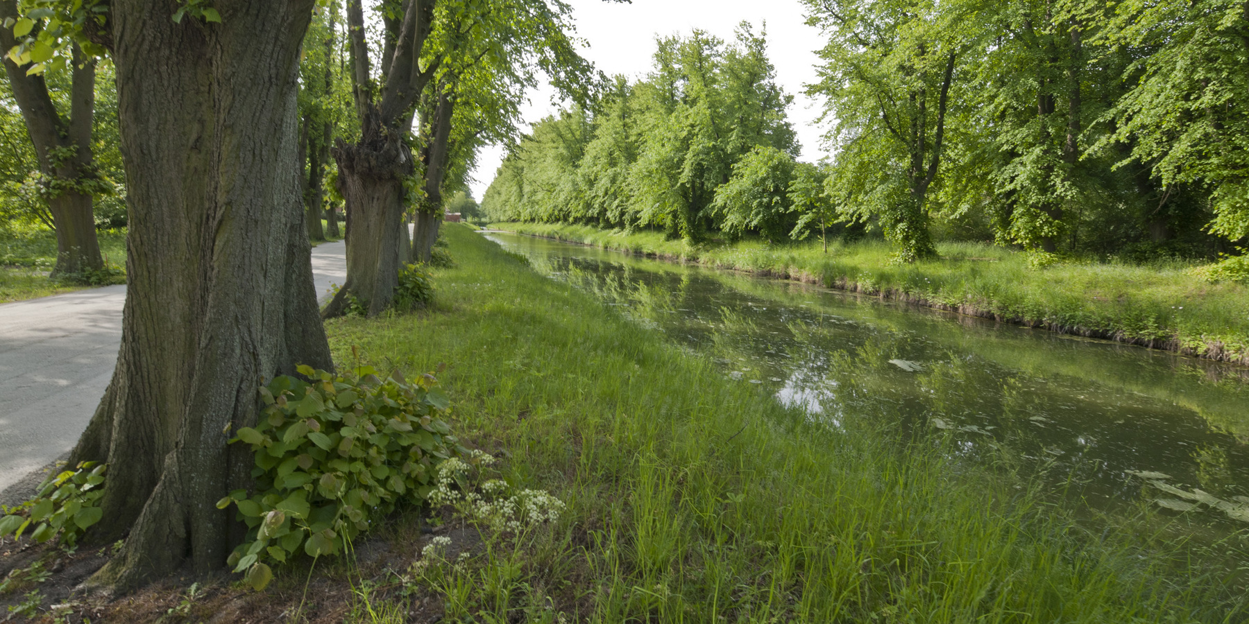 Grün soweit das Auge reicht. © 2017 Betrieb für Bau und Liegenschaften Mecklenburg-Vorpommern