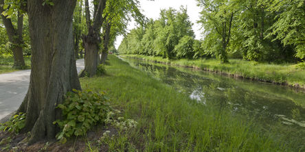 Grün soweit das Auge reicht. © 2017 Betrieb für Bau und Liegenschaften Mecklenburg-Vorpommern