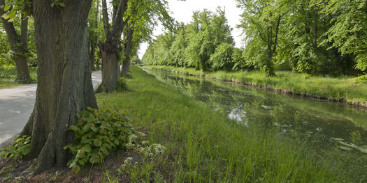 Grün soweit das Auge reicht. © 2017 Betrieb für Bau und Liegenschaften Mecklenburg-Vorpommern