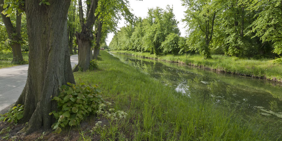 Grün soweit das Auge reicht: Schlosspark Bothmer kurz vor der Übergabe an die Öffentlichkeit. © 2012 Betrieb für Bau und Liegenschaften Mecklenburg-Vorpommern