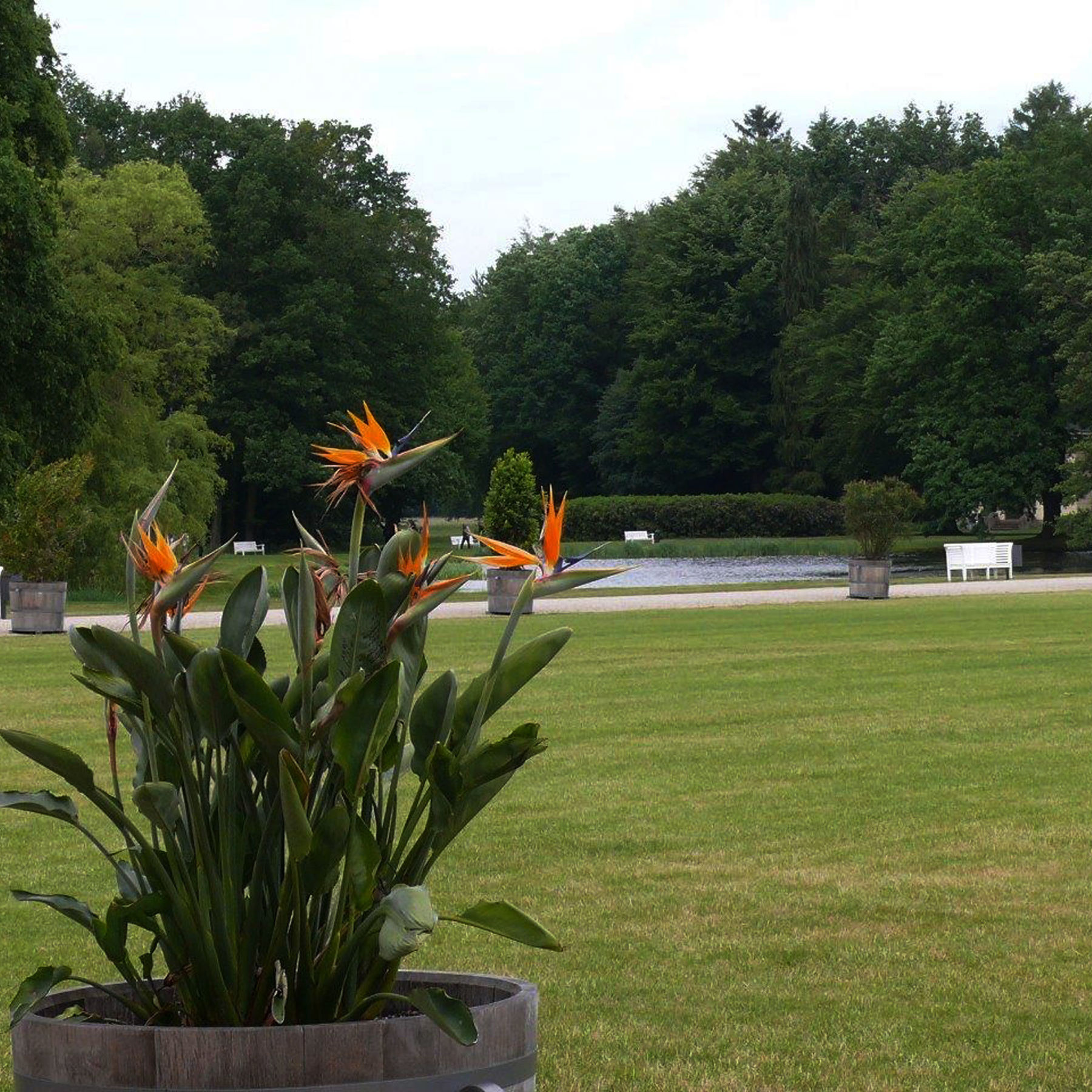 Schlosspark Ludwigslust - schönste Gärten Norddeutschlands © 2018 Betrieb für Bau und Liegenschaften Mecklenburg-Vorpommern