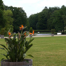 Schlosspark Ludwigslust - schönste Gärten Norddeutschlands © 2016 Betrieb für Bau und Liegenschaften Mecklenburg-Vorpommern