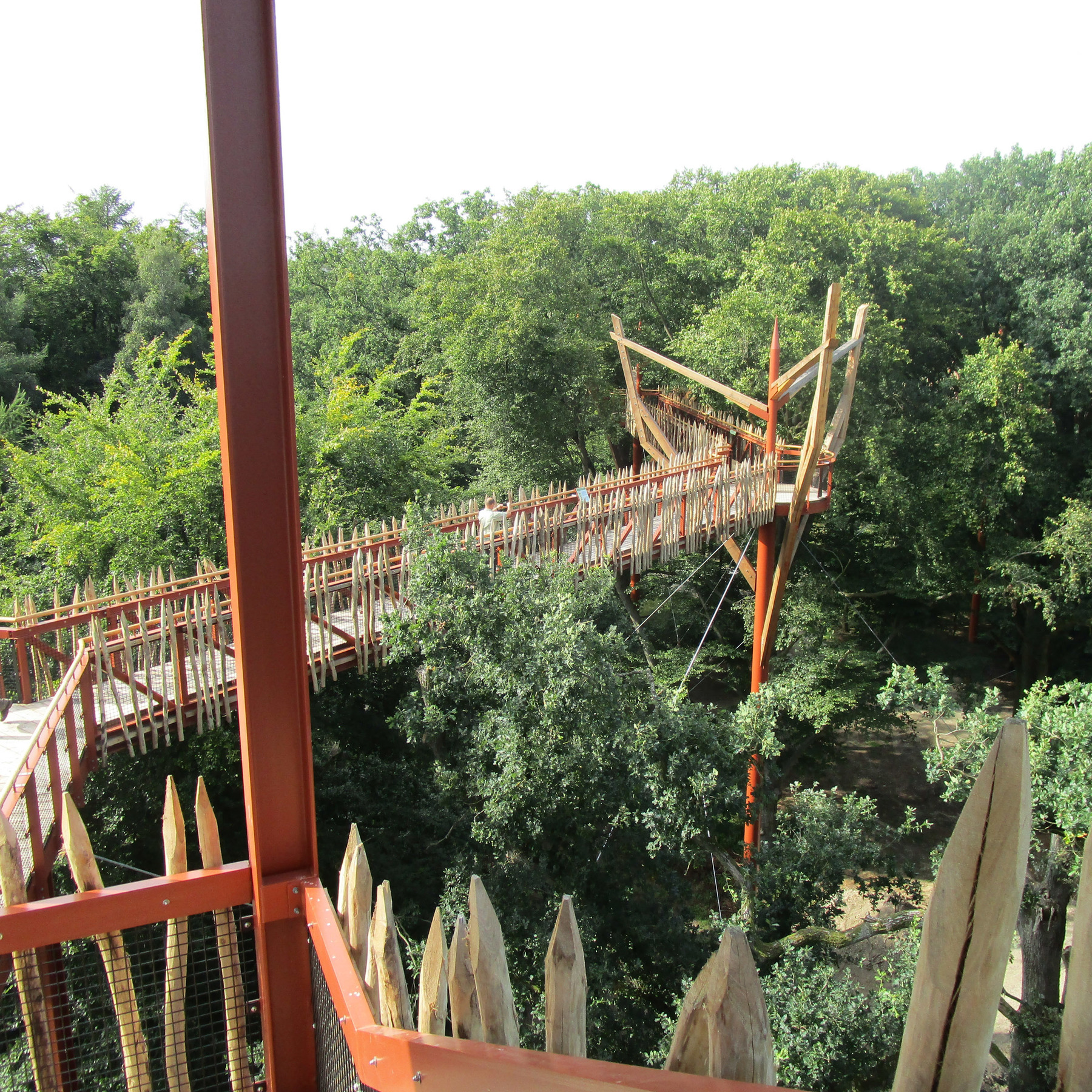 Hoch über den Bäumen in luftiger Höhe geht es den Baumkronenpfad entlang © 2017 Betrieb für Bau und Liegenschaften Mecklenburg-Vorpommern