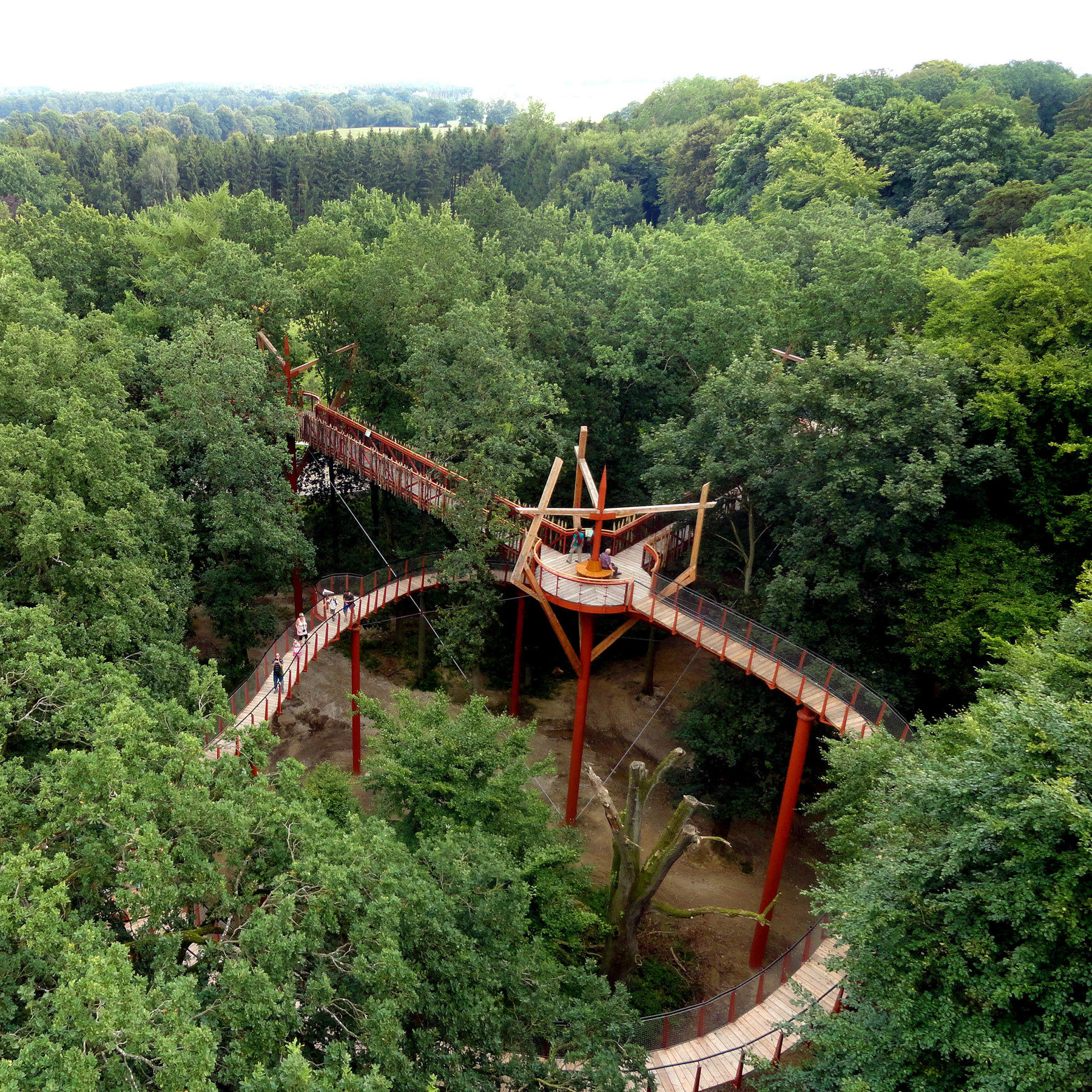 Blick von der Aussichtsplattform über den Wald © 2017 Betrieb für Bau und Liegenschaften Mecklenburg-Vorpommern