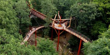 Blick von der Aussichtsplattform über den Wald © 2017 Betrieb für Bau und Liegenschaften Mecklenburg-Vorpommern