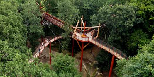Blick von der Aussichtsplattform über den Wald © 2017 Betrieb für Bau und Liegenschaften Mecklenburg-Vorpommern