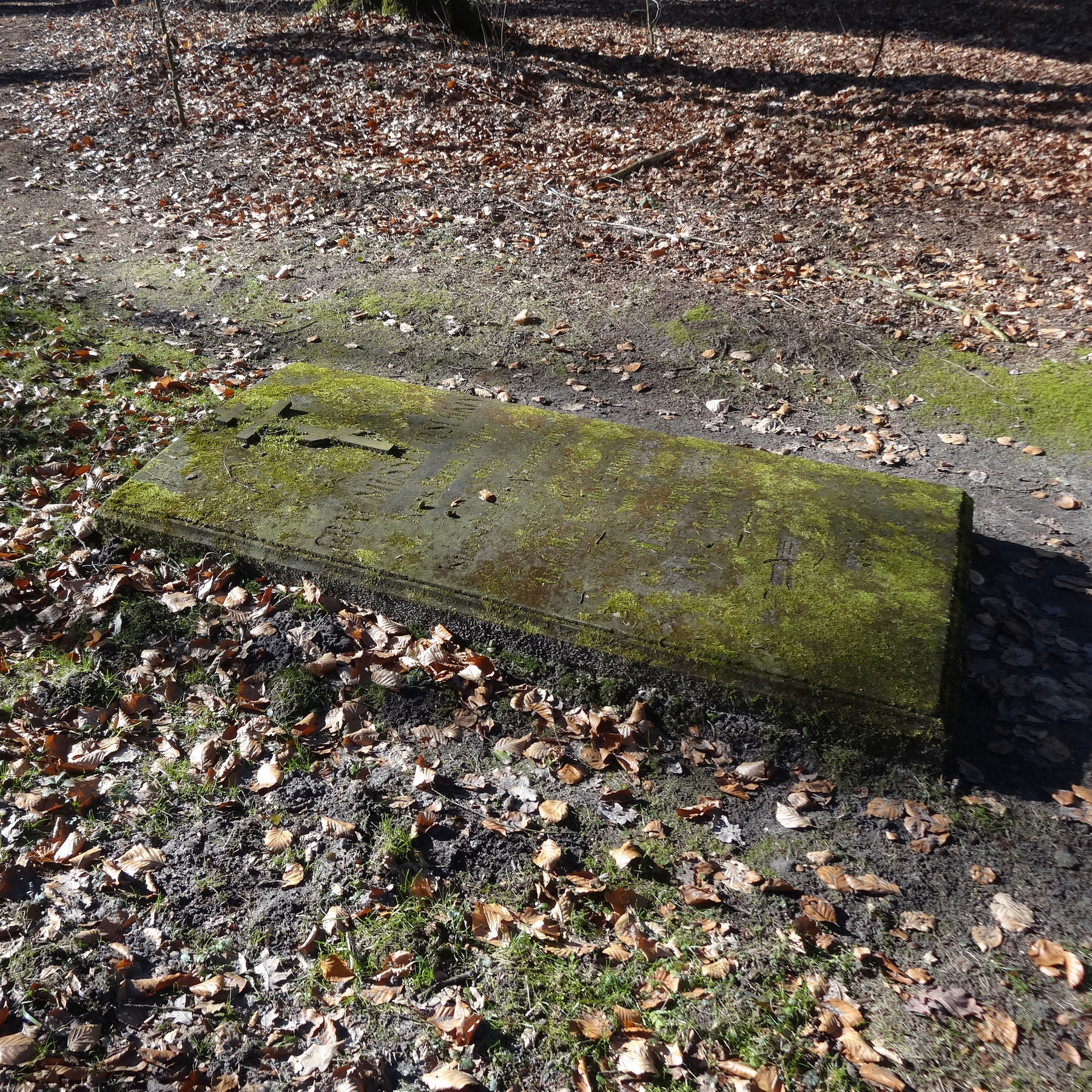 Puschkingrab vorher © 2018 Betrieb für Bau und Liegenschaften Mecklenburg-Vorpommern