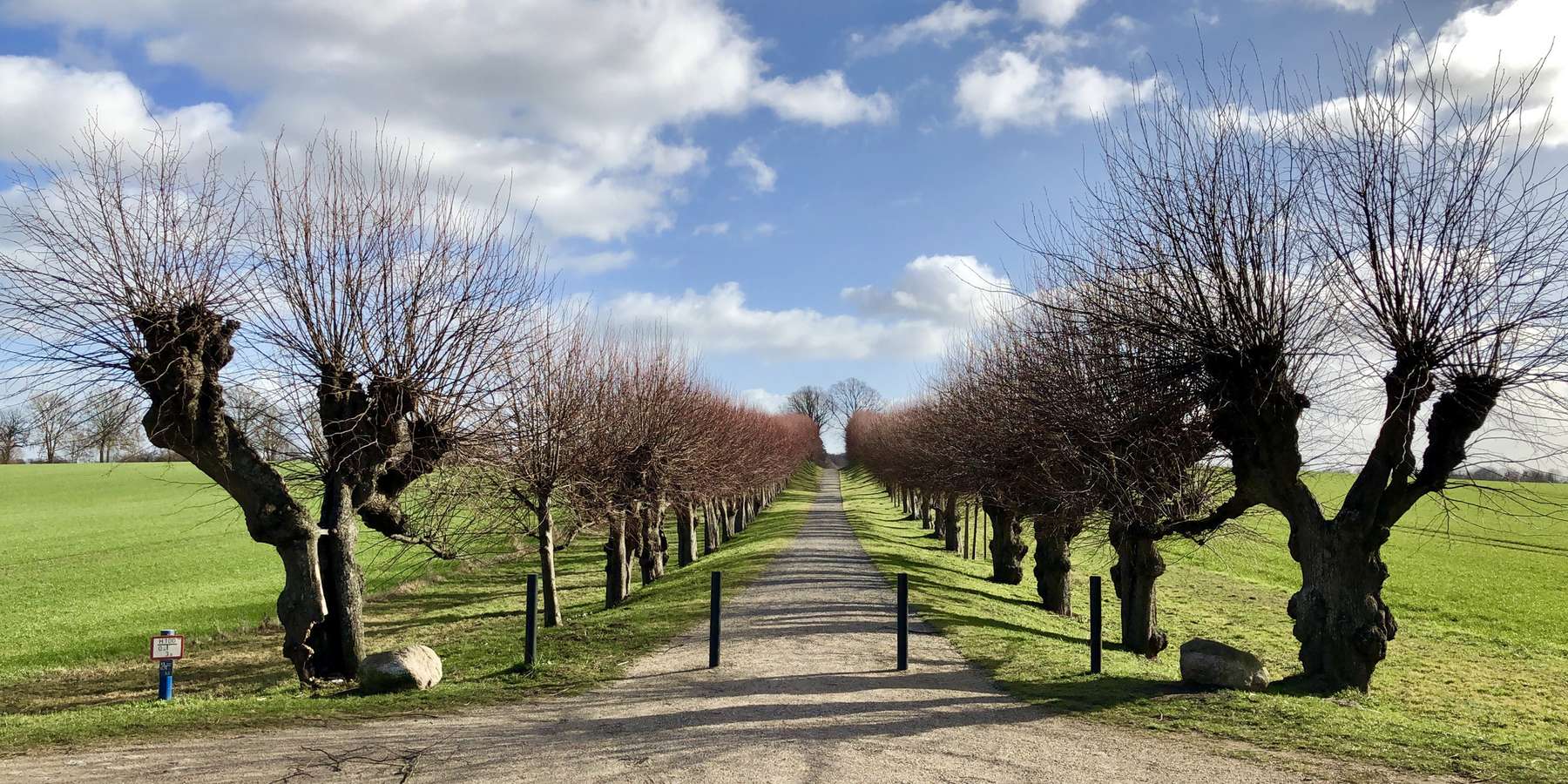 Blick in die Festonallee. Nach Abschluss der Arbeiten 2020 an den Häusern 12 und 13 wird das prächtige Schlossensemble von der Festonallee aus kommend gesehen komplett sein. © 2019 Betrieb für Bau und Liegenschaften Mecklenburg-Vorpommern