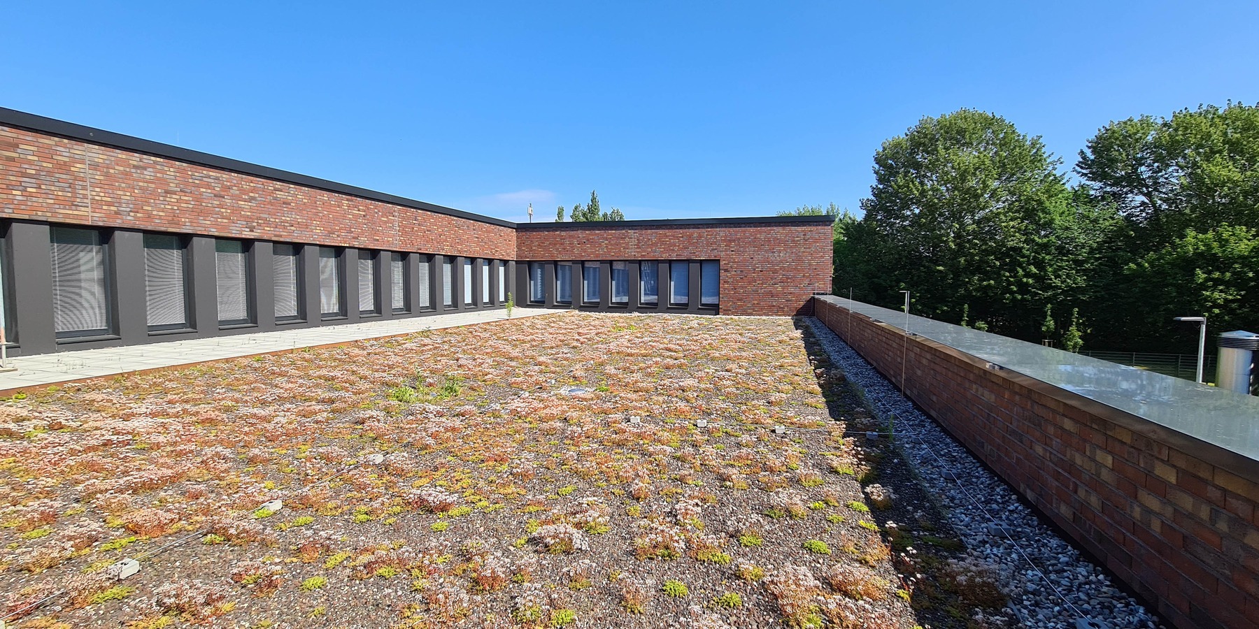 begrünte Dachterrasse des Innenhofes des Obergeschosses © 2020 Staatliches Bau- und Liegenschaftsamt Neubrandenburg