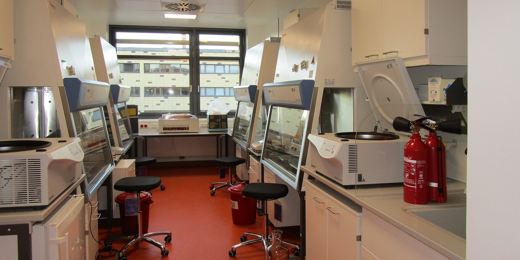Blick in ein Labor. © 2020 Staatliches Bau- und Liegenschaftsamt Greifswald