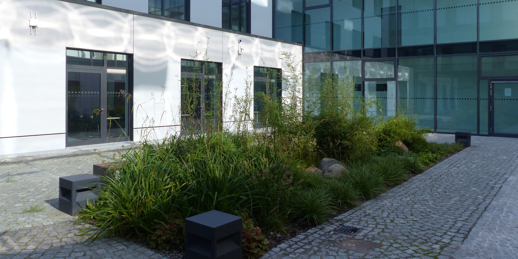 Blick in den begrünten Innenhof © 2020 Staatliches Bau- und Liegenschaftsamt Greifswald