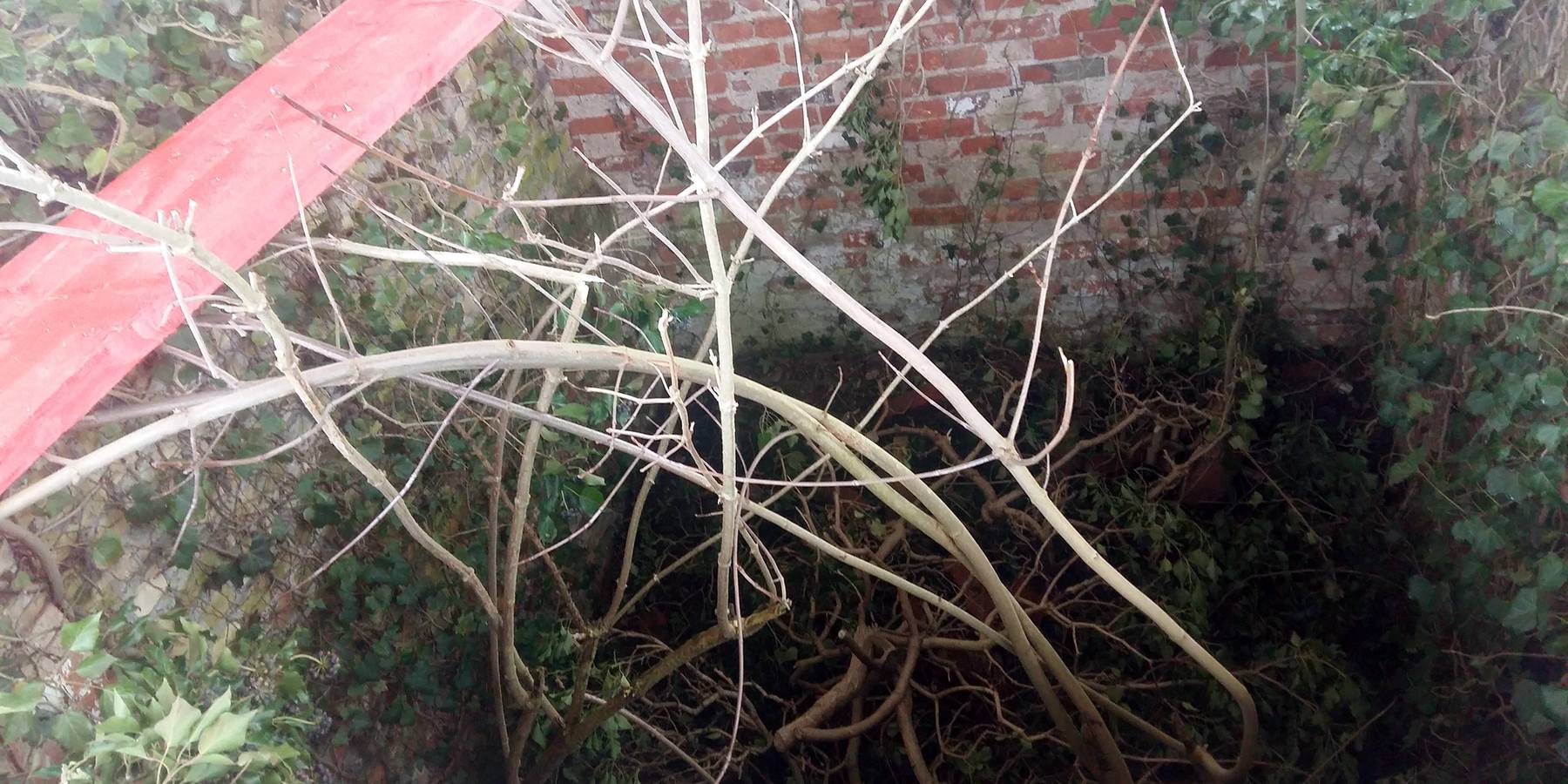 Blick in den freigelegten Teil des alten Brunnenhauses © 2021 SBL Schwerin