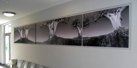 Blick auf Panoramabild vor dem Verhandlungssaal;nFotografie als kommunikatives Kunstwerk, Herr Kay Zimmermann, Berlin © 2005 Betrieb für Bau und Liegenschaften Mecklenburg-Vorpommern