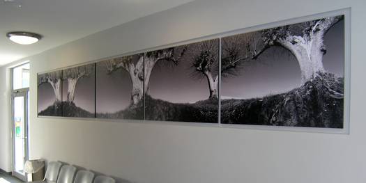 Blick auf Panoramabild vor dem Verhandlungssaal;nFotografie als kommunikatives Kunstwerk, Herr Kay Zimmermann, Berlin © 2005 Betrieb für Bau und Liegenschaften Mecklenburg-Vorpommern