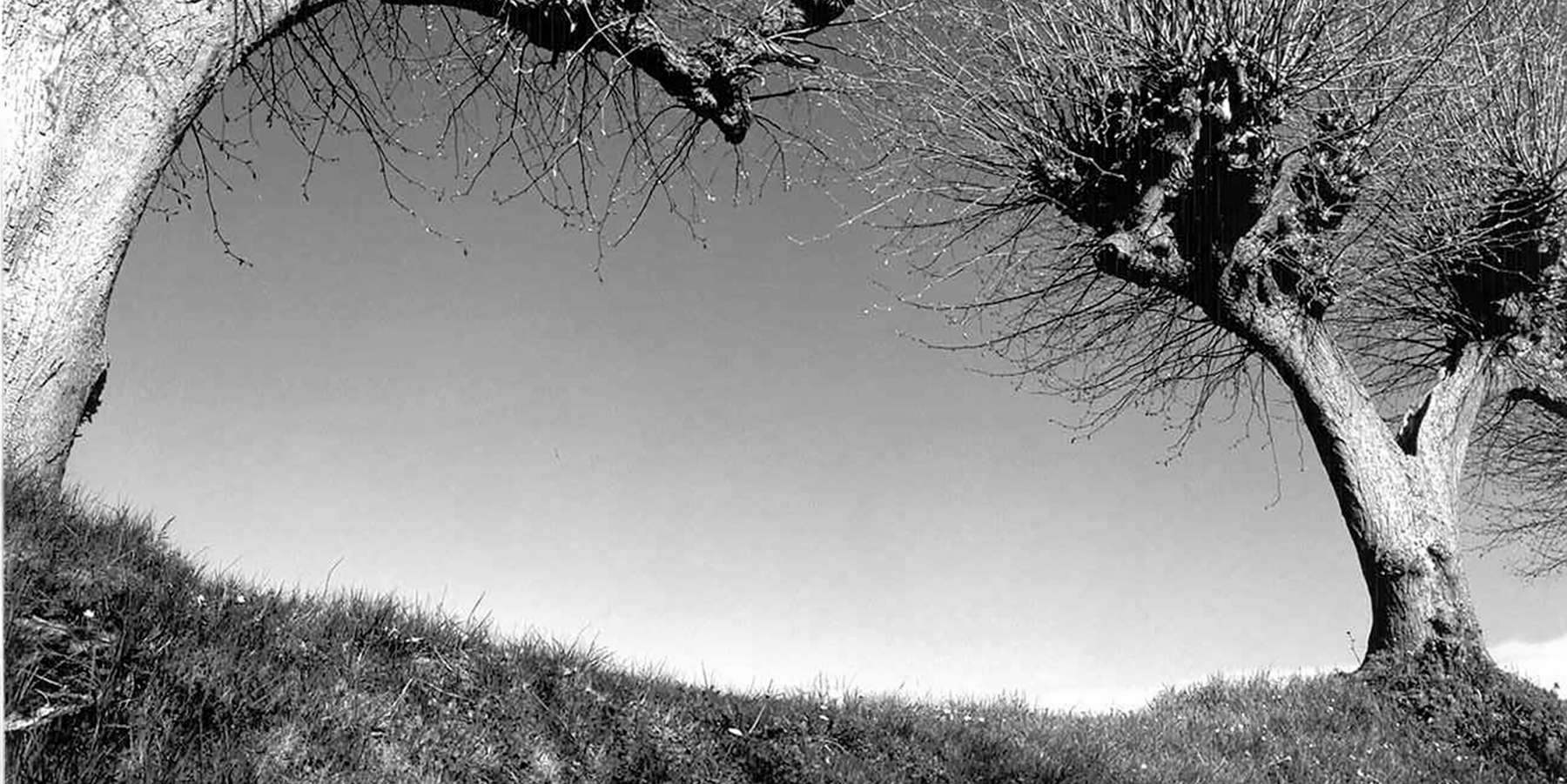 Auszug aus Panoramabild; Fotografie als kommunikatives Kunstwerk, Herr Kay Zimmermann, Berlin © 2005 Betrieb für Bau und Liegenschaften Mecklenburg-Vorpommern