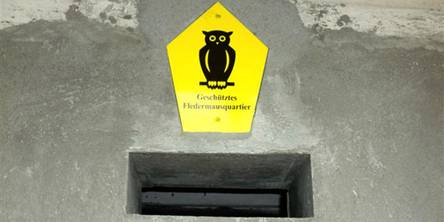Einflugschneise ins Fledermausquartier, das gelbe Schild kündet vom geschützten Fledermausquartier © 2010 BBL M-V
