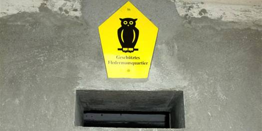Einflugschneise ins Fledermausquartier, das gelbe Schild kündet vom geschützten Fledermausquartier © 2010 BBL M-V