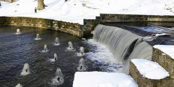 Schlosspark Ludwigslust - Herrichtung der 24 Wassersprünge © 2018 Betrieb für Bau und Liegenschaften Mecklenburg-Vorpommern