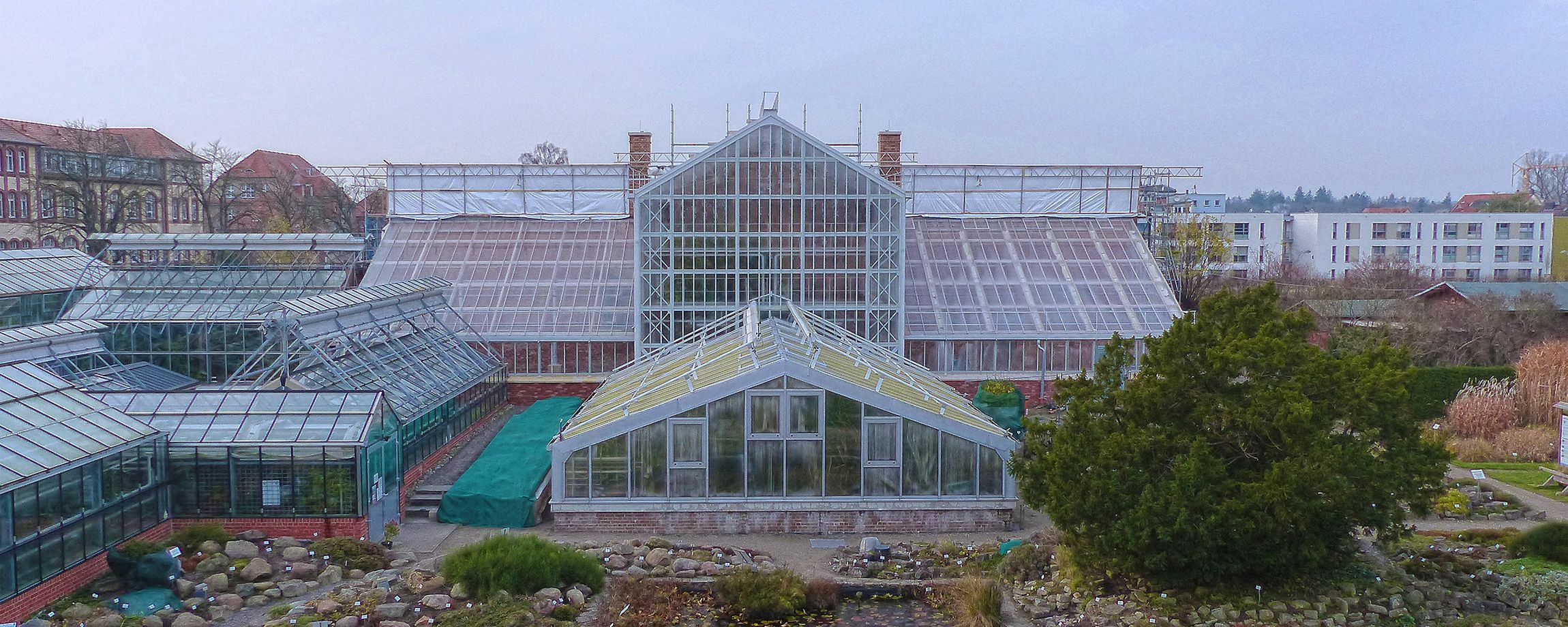 Historische Gewächshäuser im Botanischen Garten wieder eröffnet ©2020 Stephan Aufdermauer, SBL Greifswald
