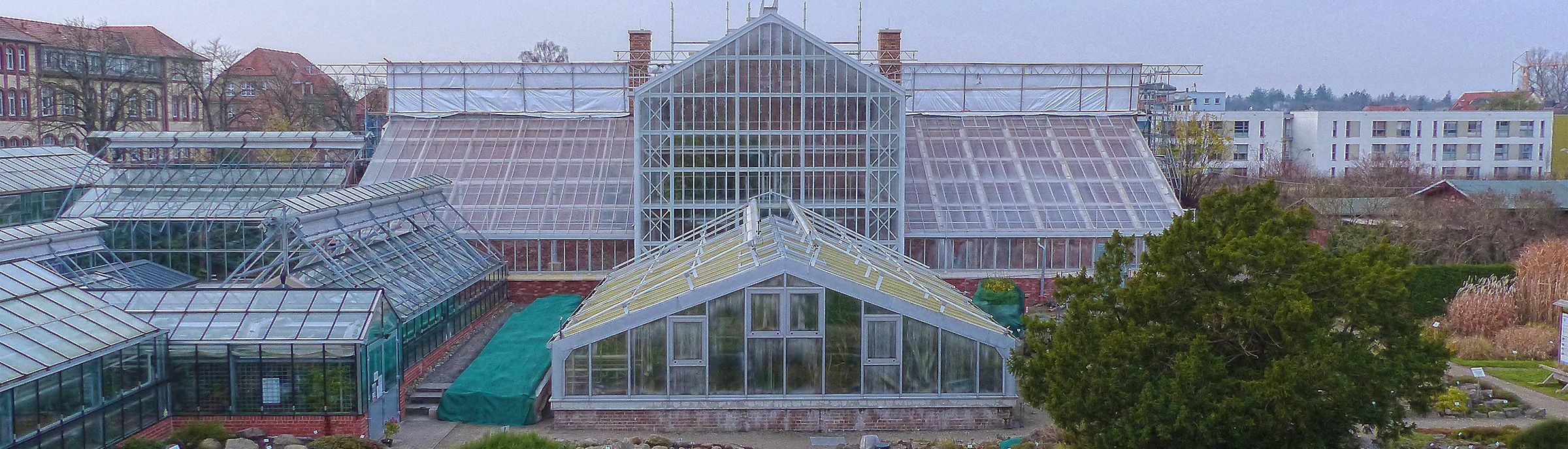 Historische Gewächshäuser im Botanischen Garten wieder eröffnet ©2020 Stephan Aufdermauer, SBL Greifswald