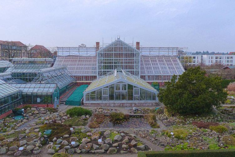 Historische Gewächshäuser im Botanischen Garten wieder eröffnet ©2020 Stephan Aufdermauer, SBL Greifswald