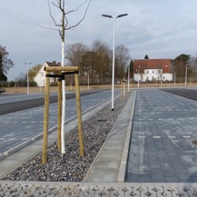 Blick von Osten - 32 Schwedische Mehlbeeren wurden auf der neuen Stellplatzanlage gepflanzt © 2021 SBL Greifswald