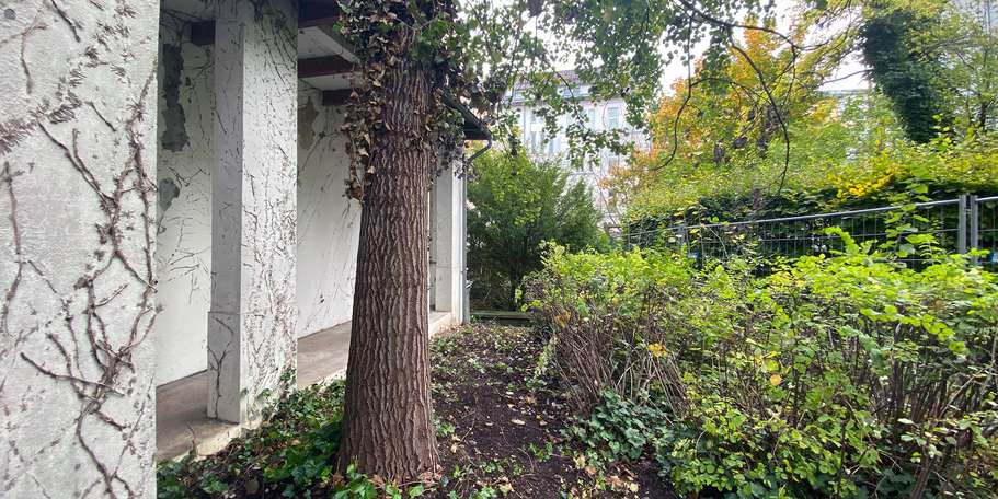 Das SBL Rostock bereitet die historische Villa im Zentrum der Stadt für den Verkauf vor. © 2021 Christian Hoffmann, FM M-V