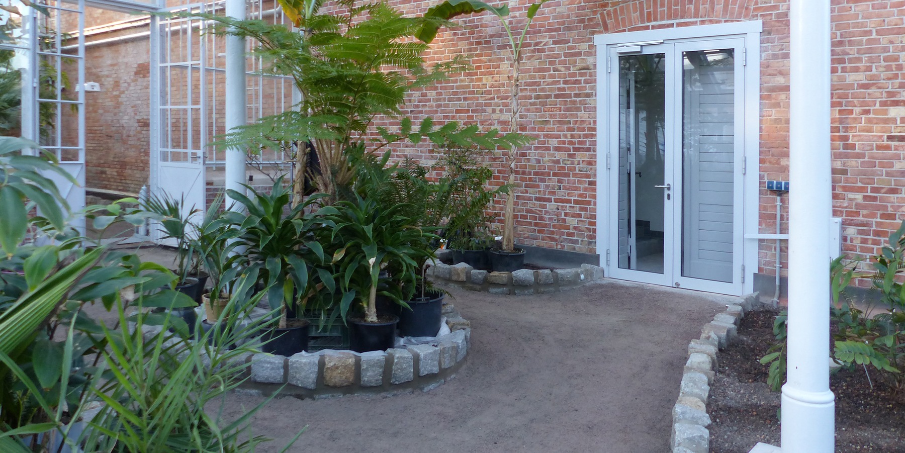 Rundgang durch die Gewächshäuser © 2021 SBL Greifswald