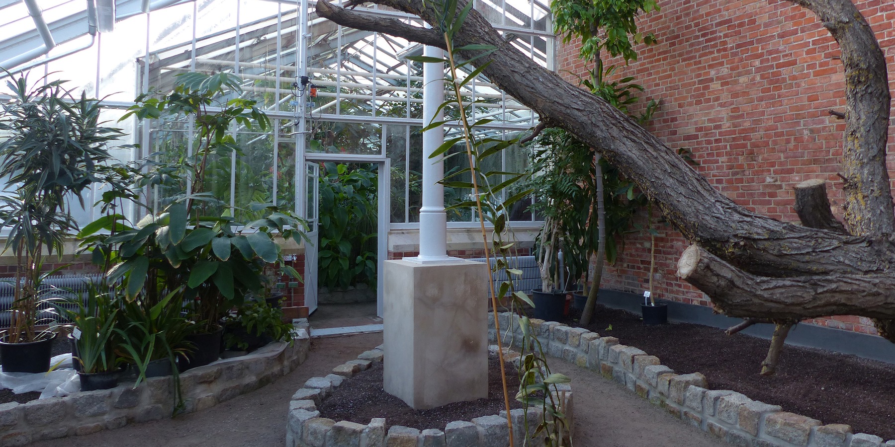 Rundgang durch die Gewächshäuser mit neu angelegten Beeten und Wegen, sanierter Stahlkonstruktion und gusseisernen Säulen © 2021 SBL Greifswald