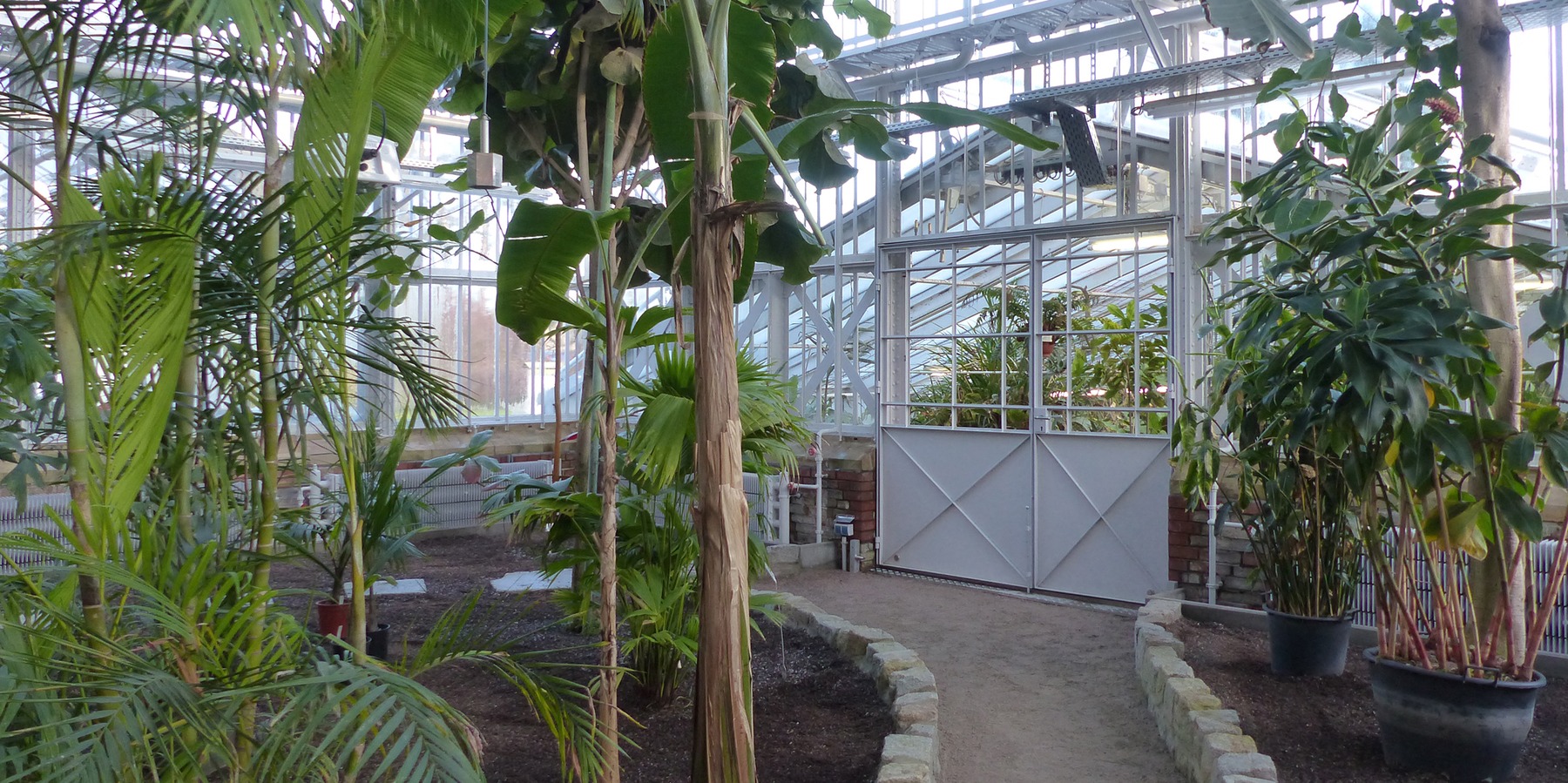 Rundgang durch die Gewächshäuser mit neu angelegten Beeten und Wegen, sanierter Stahlkonstruktion und gusseisernen Säulen © 2021 SBL Greifswald