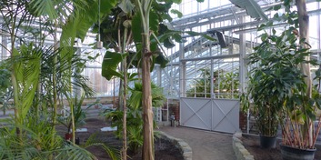 Rundgang durch die Gewächshäuser mit neu angelegten Beeten und Wegen, sanierter Stahlkonstruktion und gusseisernen Säulen © 2021 SBL Greifswald