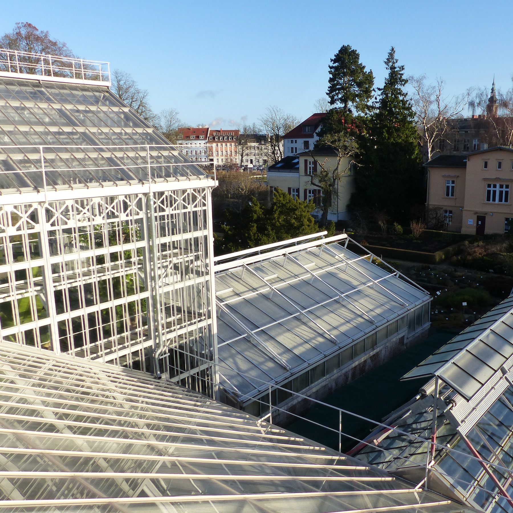 Blick vom Dach auf die sanierten Gewächshäuser © 2021 SBL Greifswald