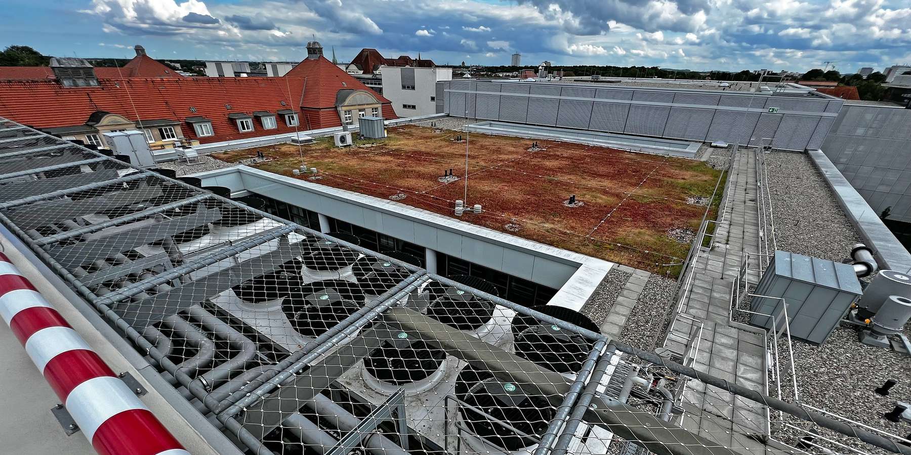 Von oben herab - Technik und extensive Dachbegrünung auf dem Neubau ZMF / UNZ © 2022 Christian Hoffmann, FM M-V