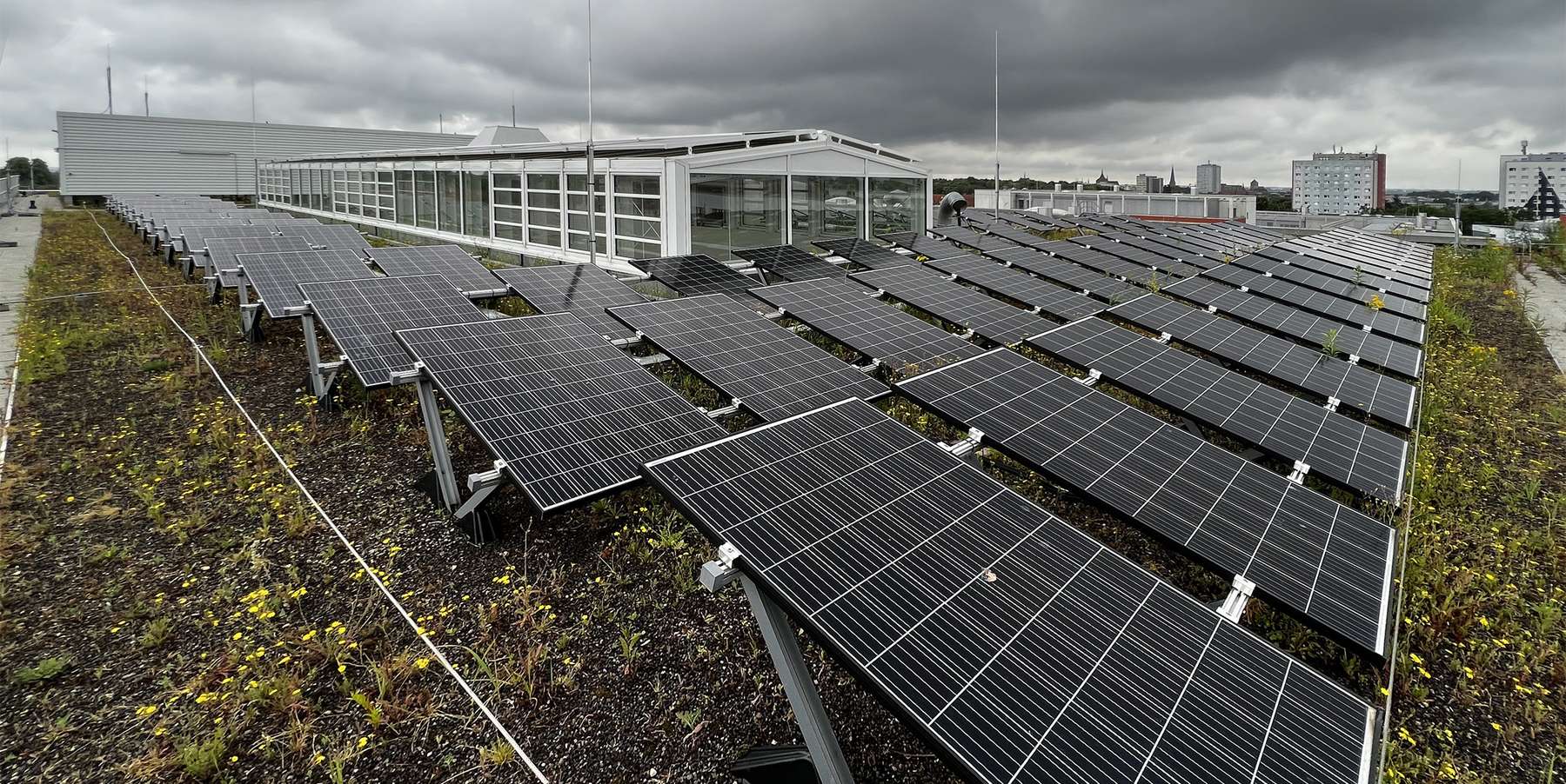 Module einer Photovoltaik auf dem Dach des Neubaus stehen auf der extensiven Dachbegrünung; bedeckter Himmel darüber und Hochhäuser der Rostocker Südstadt im Hintergrund  © 2022 Christian Hoffmann (SBL-MV / Finanzministerium M-V)