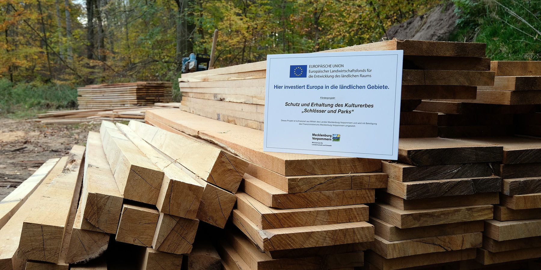 Bretterstapel für die Ufersichung © 2022 SBL Schwerin