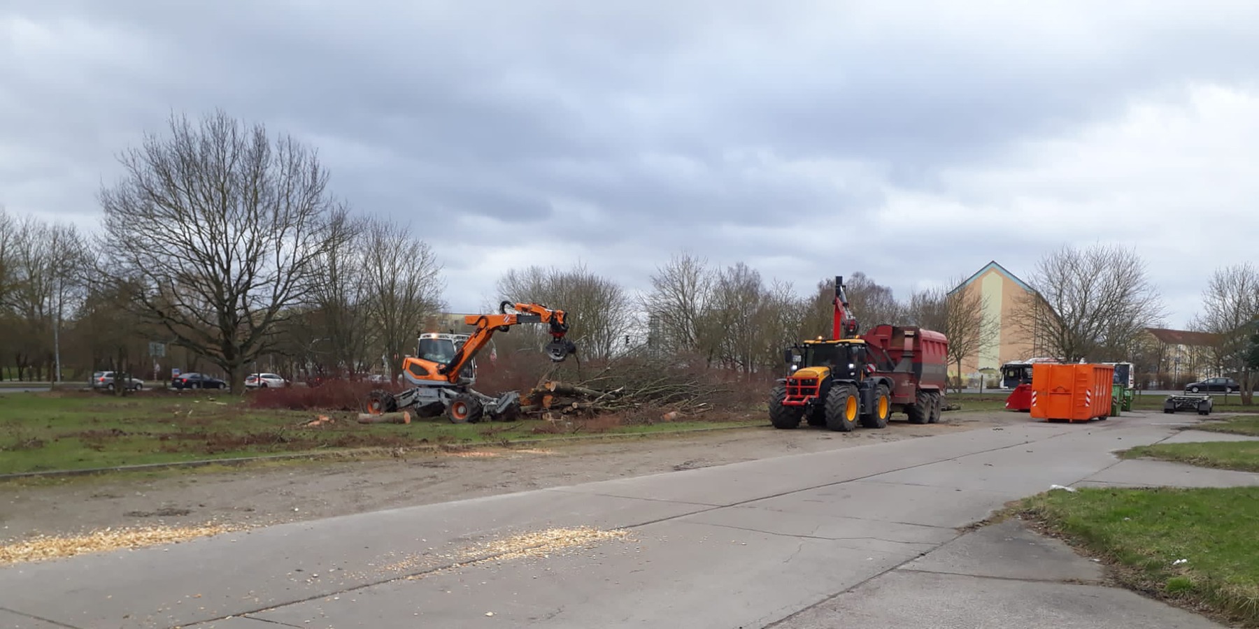 Baufeld CM - Baumfällarbeiten im Frühjahr 2022 © 2022 SBL Greifswald