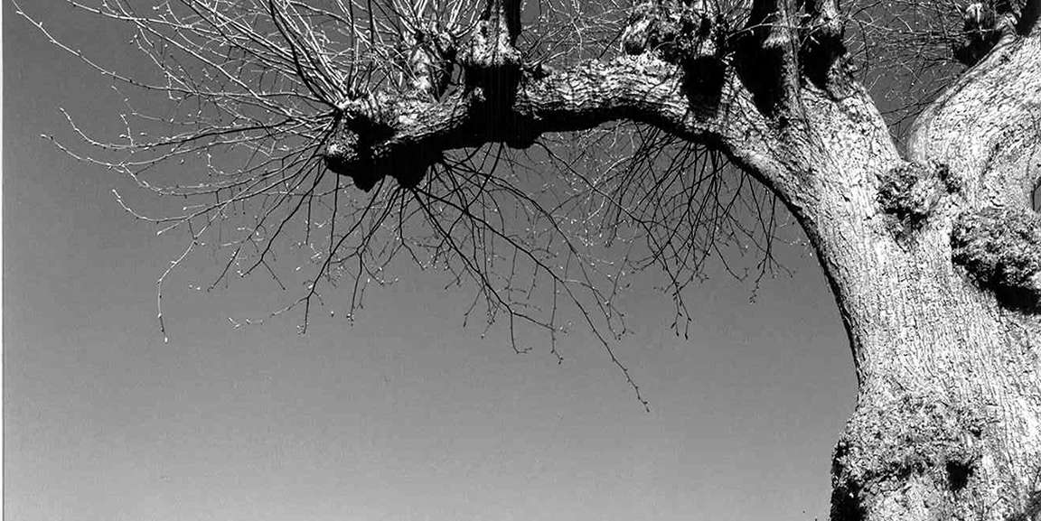 Auszug aus Panoramabild; Fotografie als kommunikatives Kunstwerk, Herr Kay Zimmermann, Berlin © 2004 Betrieb für Bau und Liegenschaften Mecklenburg-Vorpommern