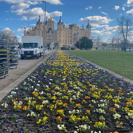 Blumenbeete im Hintergrund das Schweriner Schloss © 2023 SBL Schwerin
