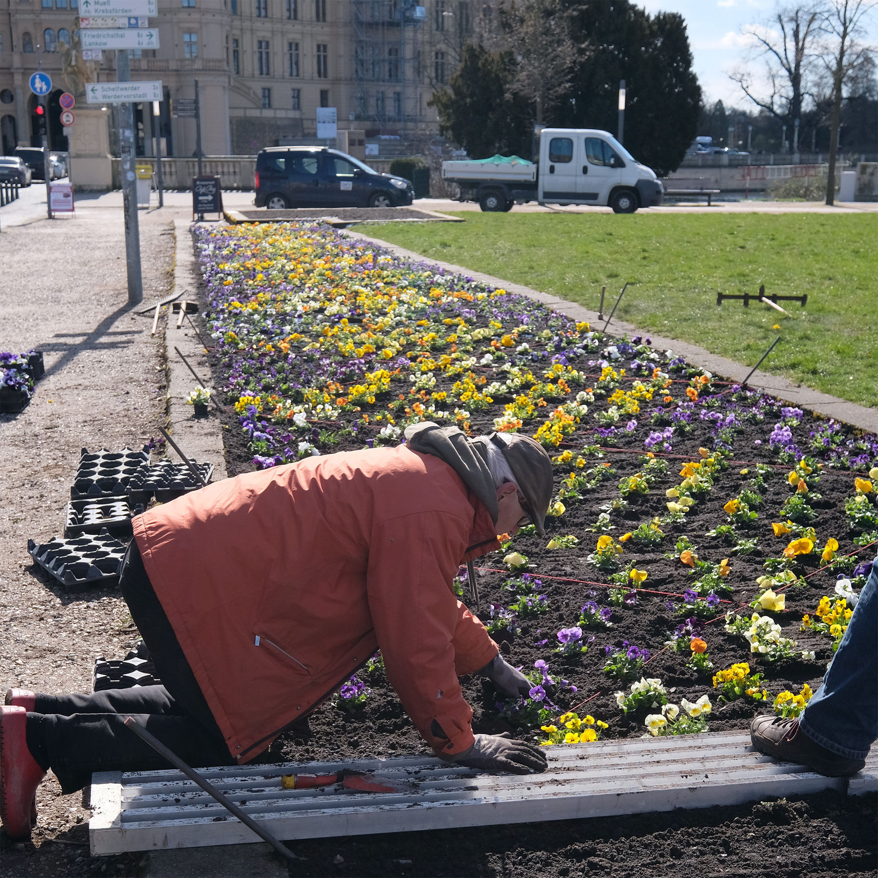 Gärtner beim Einsetzen der Pflanzen © 2023 SBL Schwerin