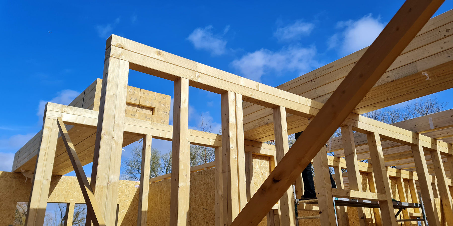 Holzkonstruktion © 2023 SBL Schwerin