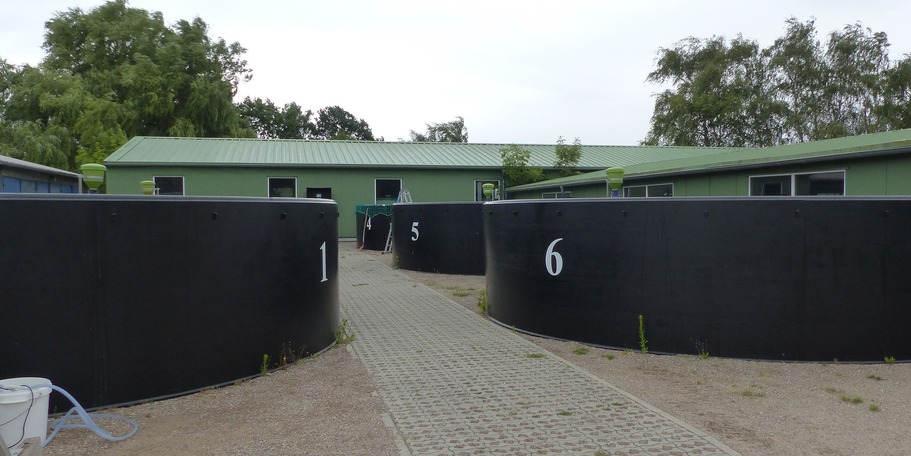 LFA Born - Institut für Fischerei: Blick auf die Außenbecken © 2023 SBL Greifswald