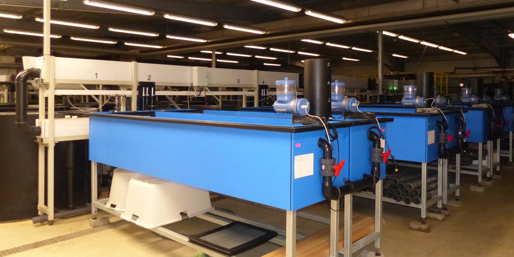 LFA Born - Institut für Fischerei: Blick in die Fischzucht-Halle © 2023 SBL Greifswald