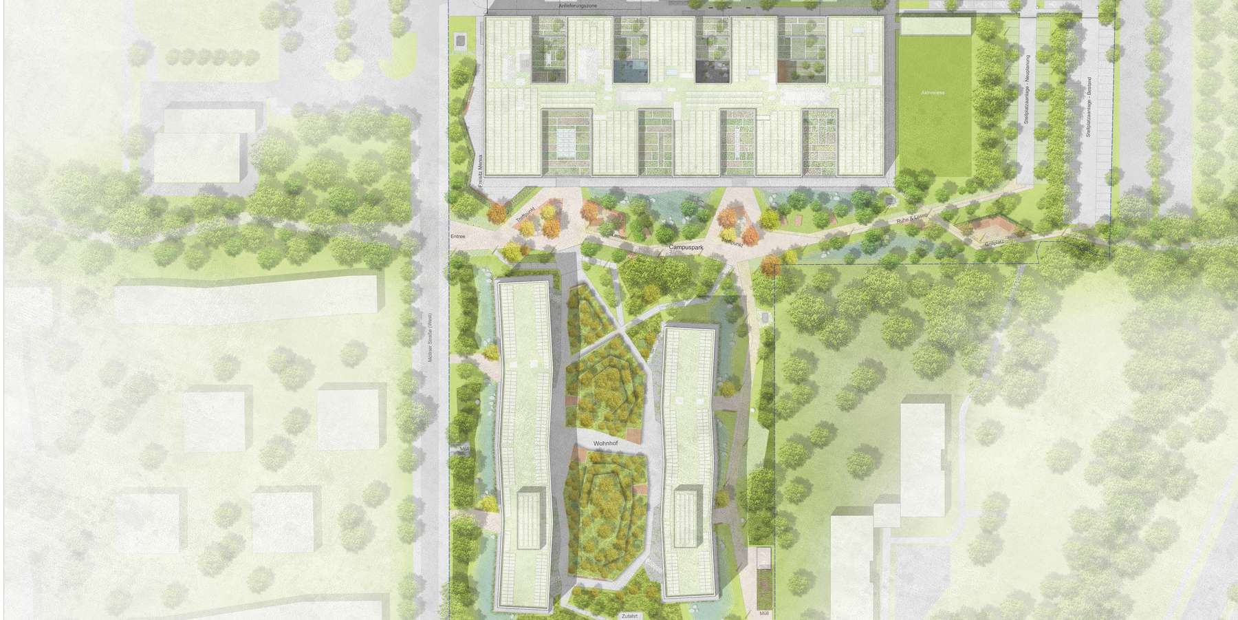 Lageplan des derzeit größten Bauprojekts des SBL Rostock © ST raum a. – Landschaftsarchitektur, Berlin