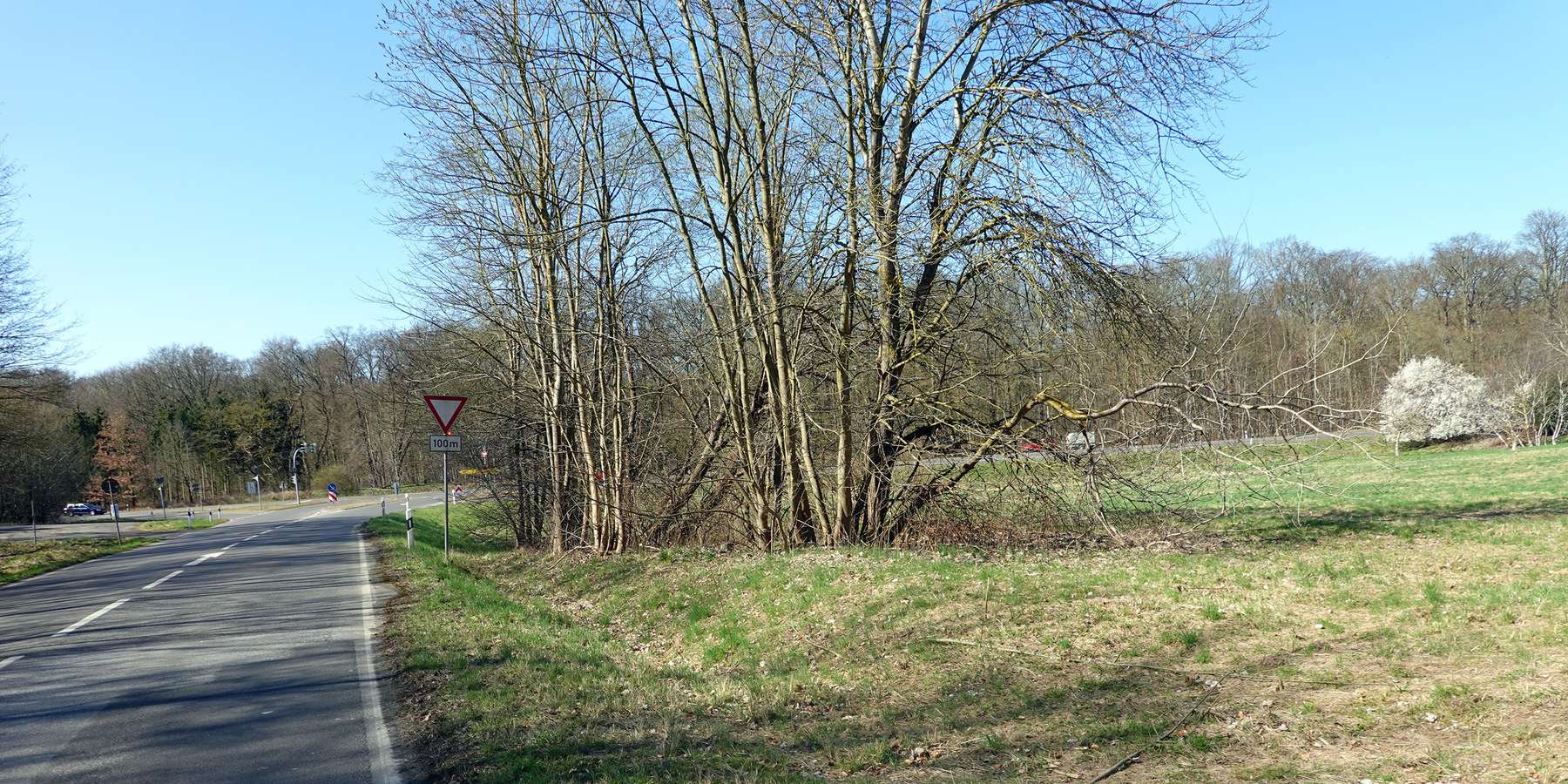 Blick auf das Grundstück © 2025 Finanzministerium MV