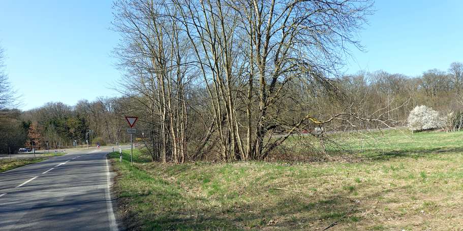 Blick auf das Grundstück © 2025 Finanzministerium MV