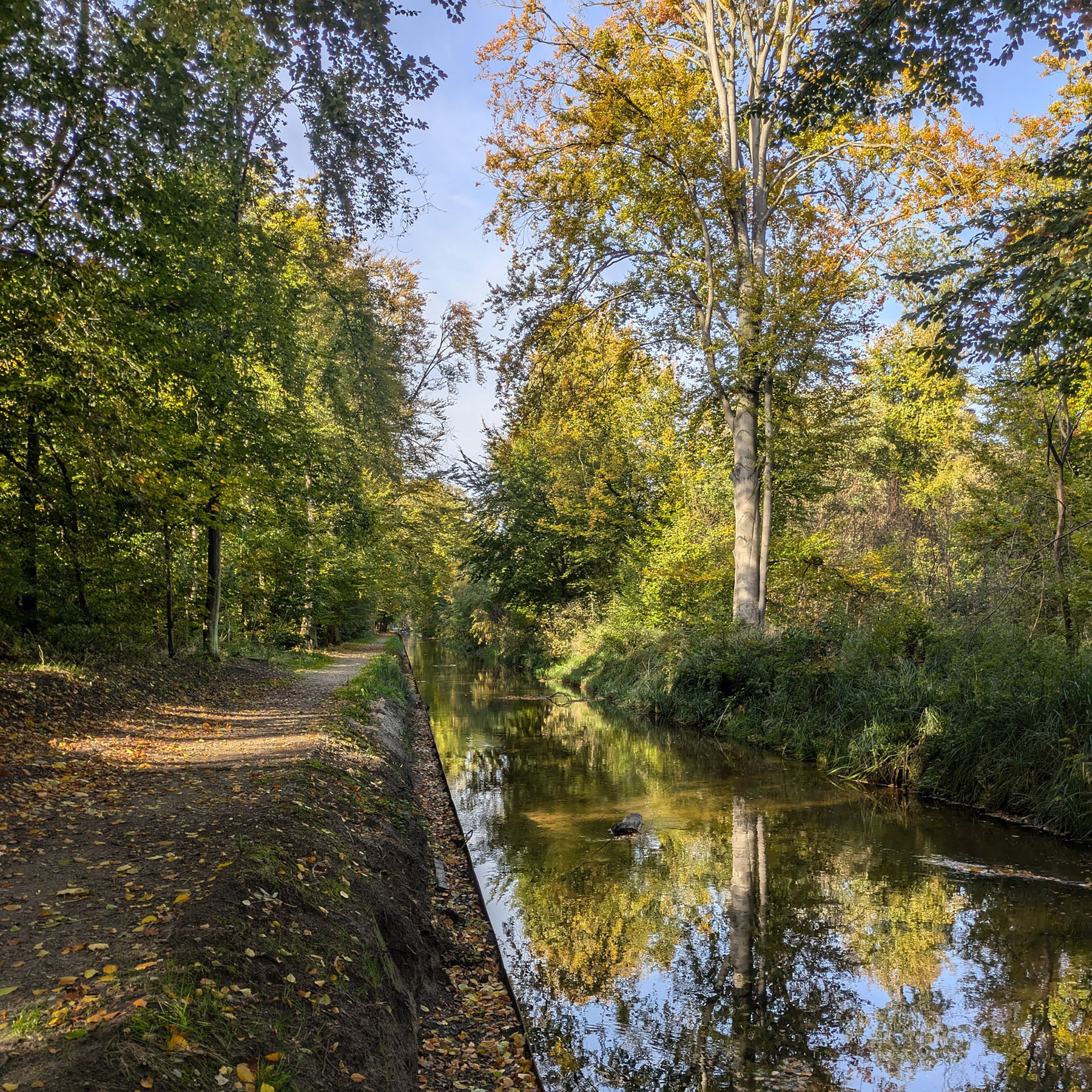 Ufersicherung an den Wasserläufen im Schlosspark Ludwigslust.jpg © 2025 SBL Schwerin